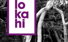 The Lokahi Foundation